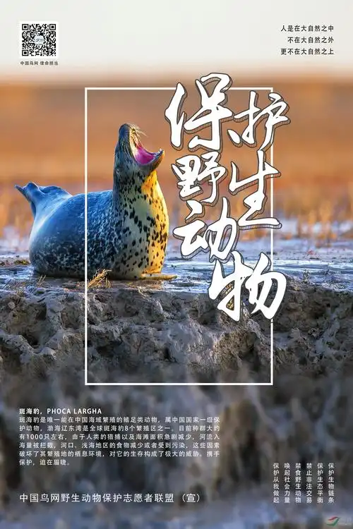 保护水中大熊猫