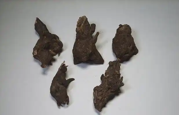 川乌的功效与作用