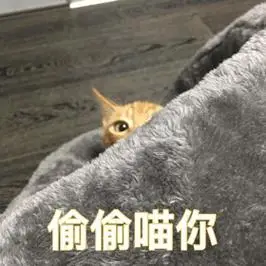 偷偷喵你 - 一波喵星人表情包_猫表情