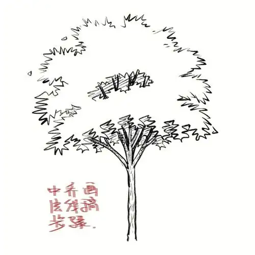景观手绘画树中乔木详细攻略分享附步骤