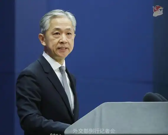 汪文斌 资料图 图源:外交部网站