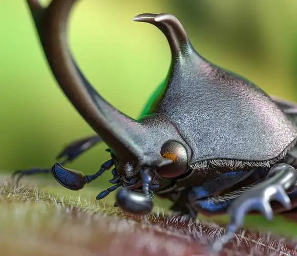 独角仙c4d超写实