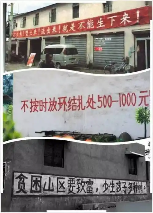 一人超生全村结扎这些曾令高州人闻风丧胆的口号全废了