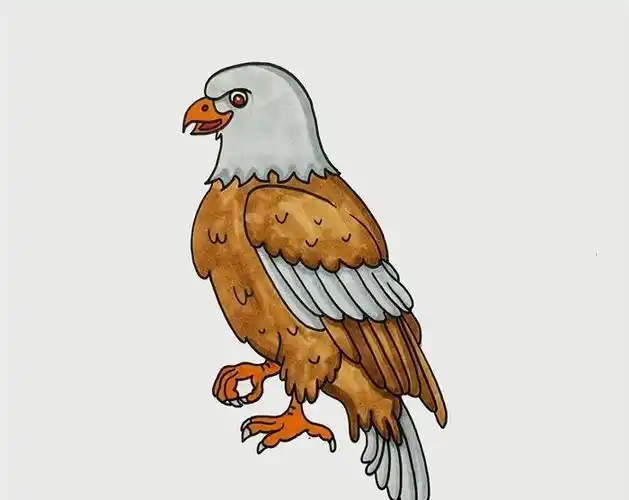 卡通图像白头鹰简单设计老鹰卡通简笔画卖萌的白头海雕手账素材简笔画