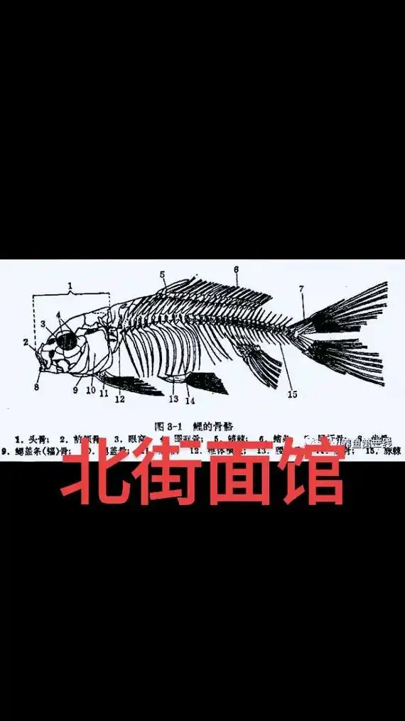 美食制作#,可以了解一下鱼的结构.山西晋城#北大街220号 - 抖音