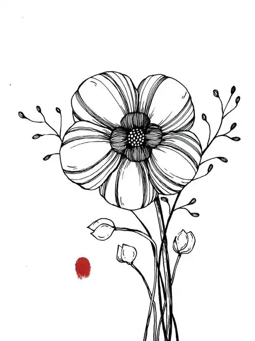 花卉手绘绘画步骤教程分解图黑白插画