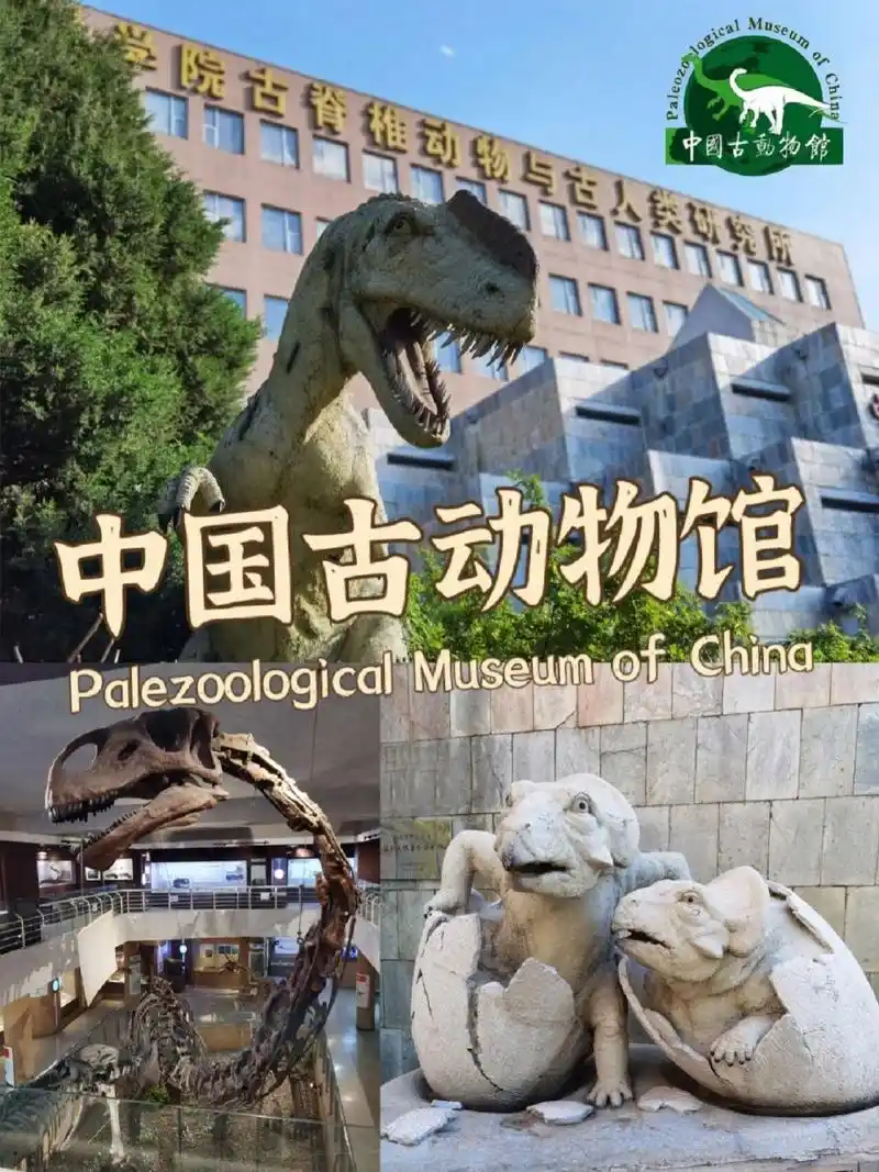 胡桃逛展 | 古生物博览基地—中国古动物馆 在北京西直门桥往西,天文