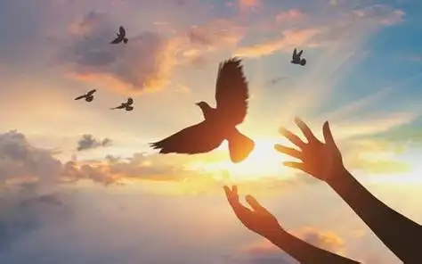 见证心思意念改变得释放的见证20190602