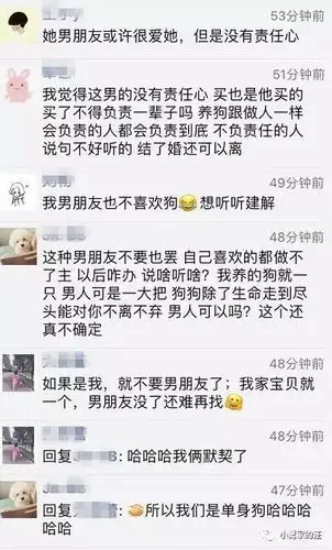 要结婚还是要养狗找人算过命狗跟男友相克这都是什么鬼
