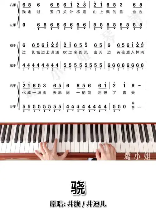 五线谱在最后#钢琴  #井胧 #简谱 #五线谱