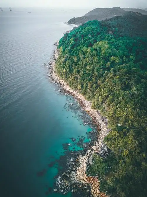 birdseyeviewofseashore图片