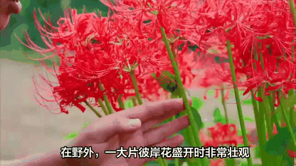 640_360gif 动态图 动图