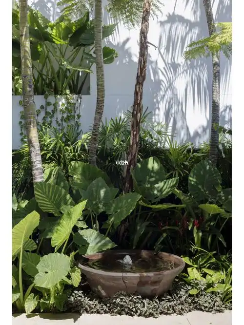 花镜12|7款庭院水景边上植物配置分享