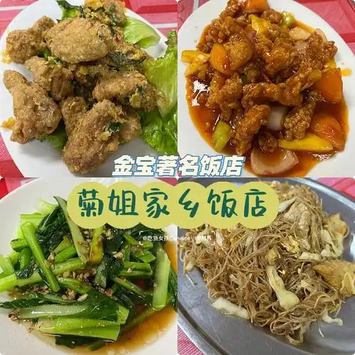 金宝探店61菊姐家乡饭店020609
