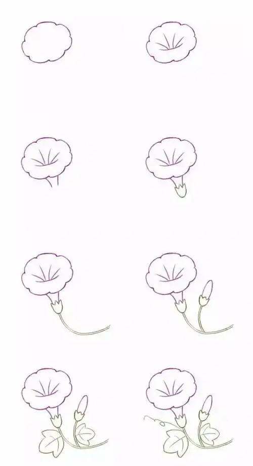 幼儿简笔画作品牵牛花新手也可以画的牵牛花简笔画详细步骤图讲解不屈