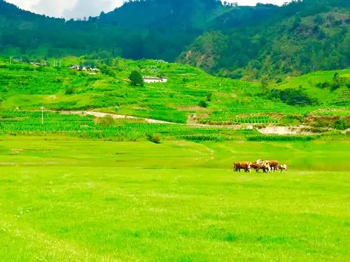 草原春天美手机摄影