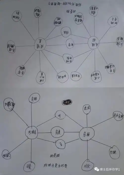 上海新虹桥小学思维地图双气泡图