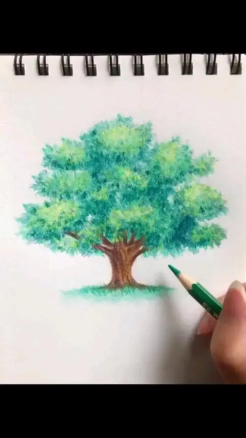彩铅画树