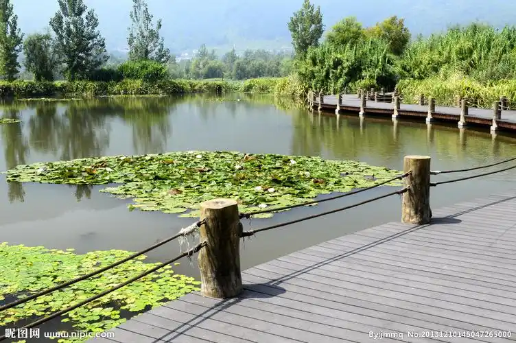 西昌湿地公园摄影图__山水风景_自然景观_摄影图库_昵图网nipic.com