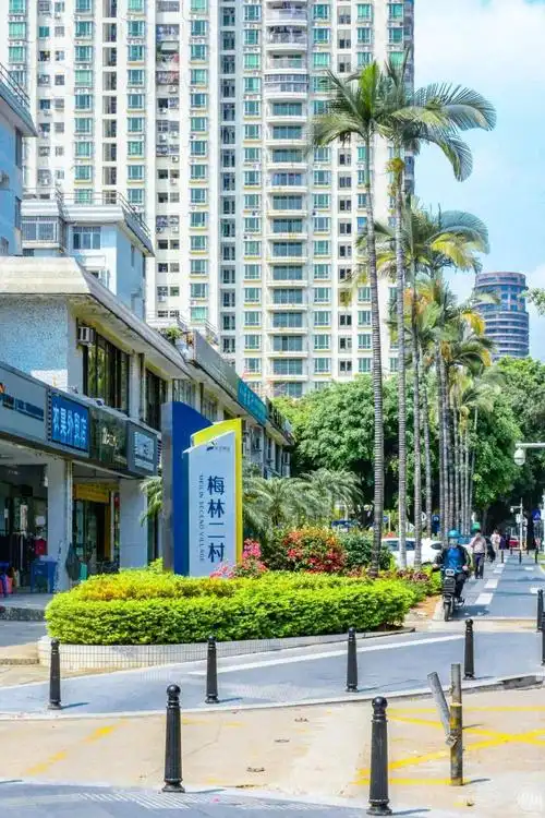 下梅林遍地学区房