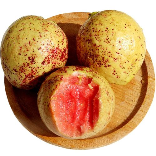 福建漳州小土红芭乐5斤水果软糯香番石榴新鲜潘红色心巴乐果