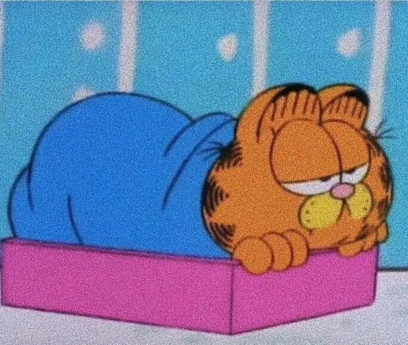 有没有加菲猫的头像