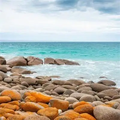 令人愉悦惹人向往的风景头像