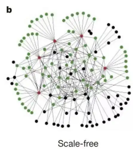 新浪微博的网络结构(无标度网络 scale-free)