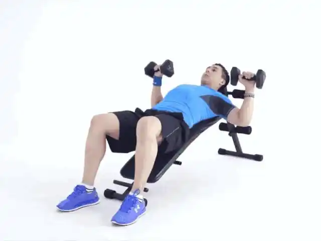 简单易懂最全哑铃动作动图用哑铃锻炼全身肌肉