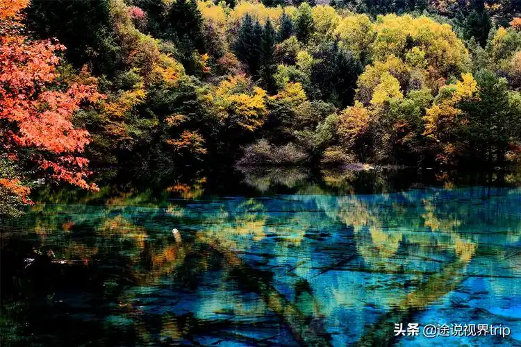 世间最美的九寨沟,无比震撼的人间仙境,来了就不想离开的地方