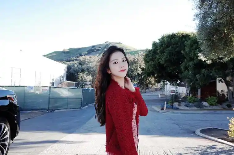 jisoo - 堆糖,美图壁纸兴趣社区