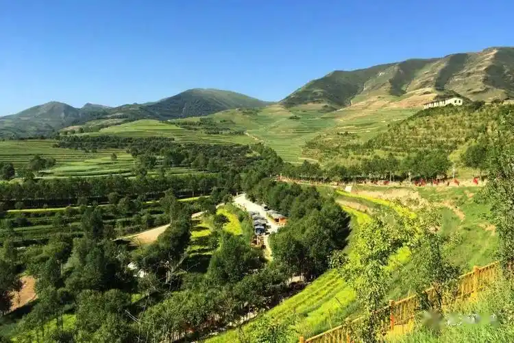 白浅专栏:寻梦小高陵,邂逅"铁姑娘"_生命_山顶_精神感召