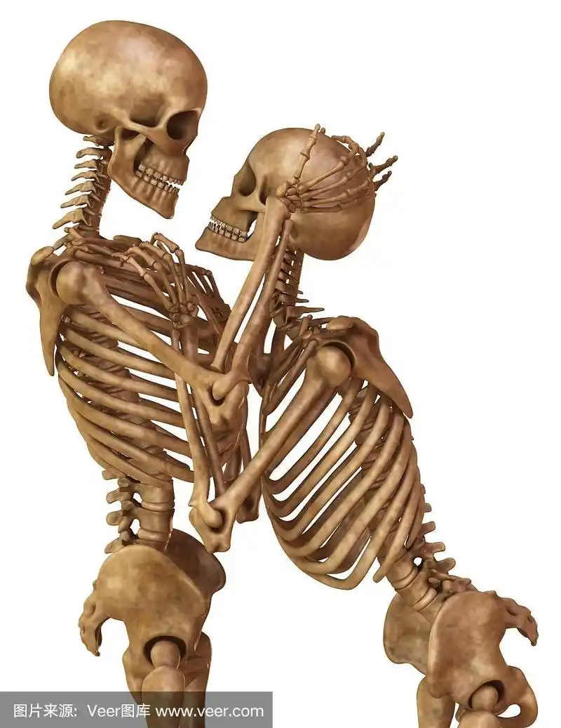 男人和女人的骷髅,摆着恋人的姿势.孤立在白色背景的3d插图