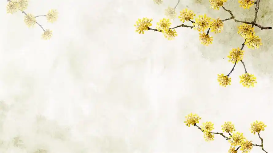 八张唯美水彩花卉幻灯片ppt模板素材免费下载