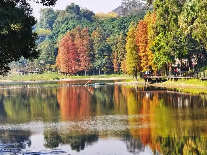 迟到的秋天一一游广州麓湖公园