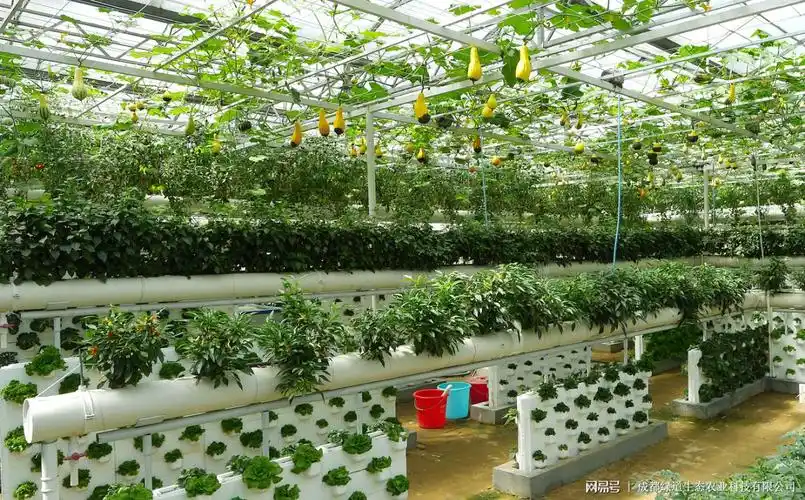 中关村立体农业示范园