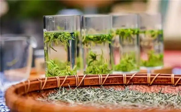 中国黄金茶之乡湘西舌尖上的村茶