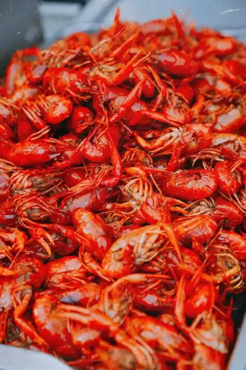 【洪湖清水小龙虾】89元可享小龙虾2-3人套餐:卤虾3斤 毛豆1份 炒饭1