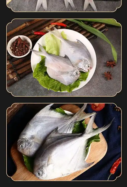 海捕大银鲳鱼海鲜水产新鲜白鲳鱼鲜活冷冻整箱年货非养殖白鱼5斤银鲳