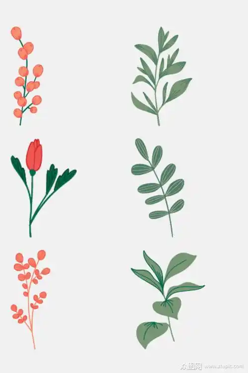 野花植物花草元素素材