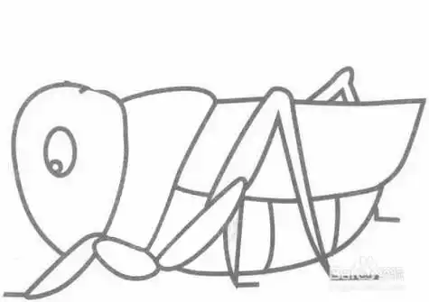 绿蝈蝈简笔画带颜色