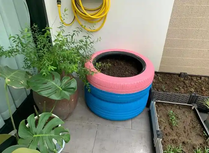 废旧轮胎变废为宝,创意花盆种丝瓜