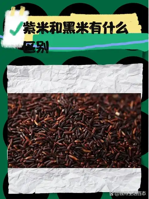 紫米和黑米有什么区别 紫米和黑米虽然都是米,但它们在颜色,形状,口感