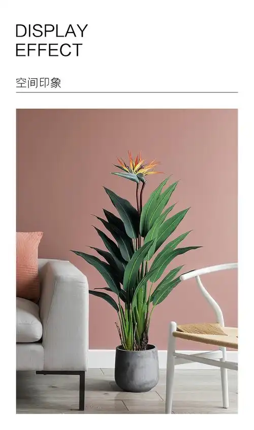 品质好物北欧大型落地仿真绿植天堂鸟吉祥鸟鹤望兰盆栽假花艺术装饰