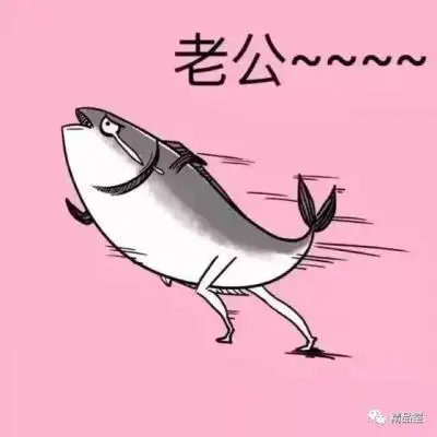 搞怪可爱情侣头像一对 奇葩搞笑逗比情头一左一右图片