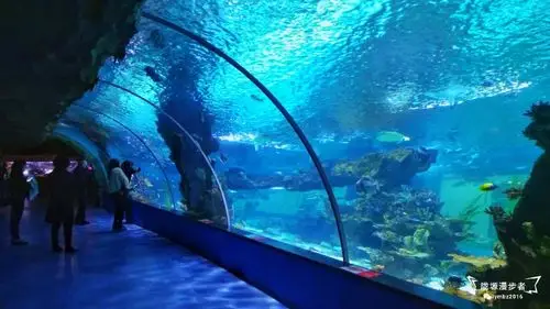 兰州极地海洋世界