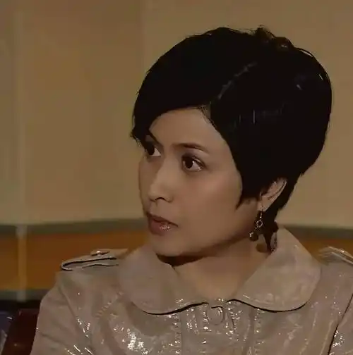 《珠光宝气》邵美琪,深受戚其义所爱,剧里为了他竟与恋爱结婚_沈之澄