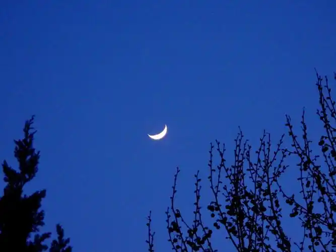 无言独上西楼,月如钩