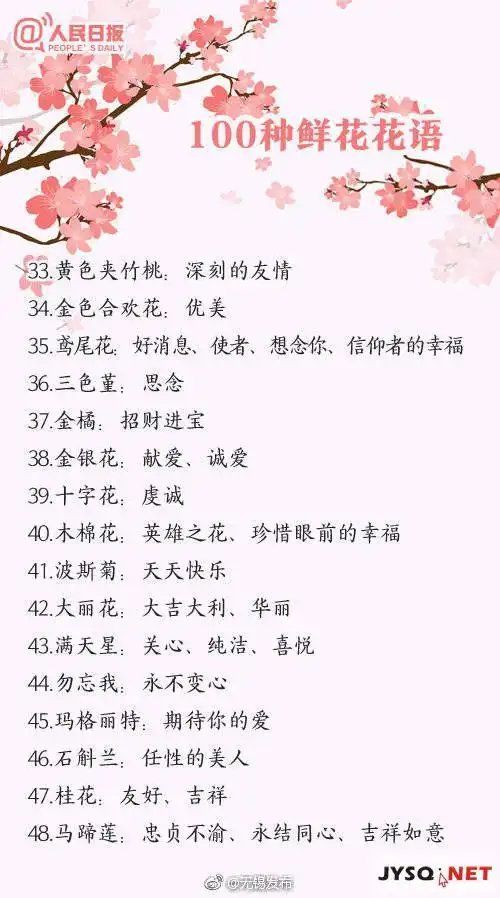 100种鲜花的花语,送花就用它!