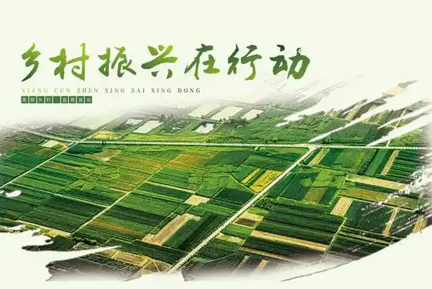 2023年省委一号文件锚定建设农业强国目标,聚焦乡村振兴主题,结合